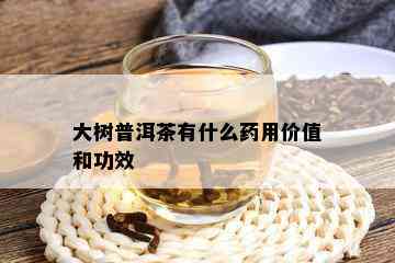 大树普洱茶有什么用价值和功效