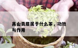 高山贡眉属于什么茶，功效与作用