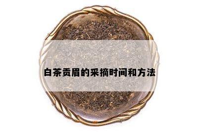 白茶贡眉的采摘时间和方法