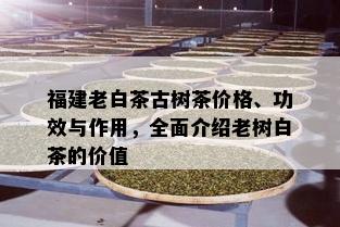 福建老白茶古树茶价格、功效与作用，全面介绍老树白茶的价值