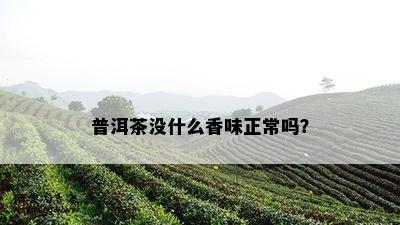 普洱茶没什么香味正常吗？