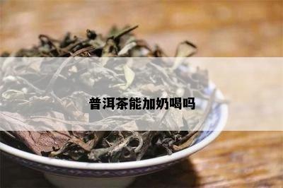 普洱茶能加奶喝吗