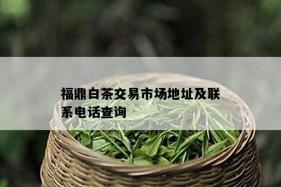 福鼎白茶交易市场地址及联系电话查询