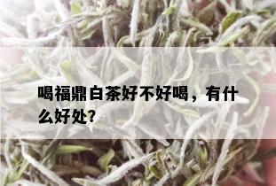 喝福鼎白茶好不好喝，有什么好处？