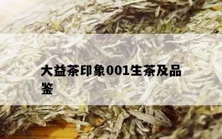 大益茶印象001生茶及品鉴