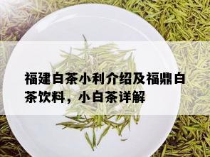 福建白茶小利介绍及福鼎白茶饮料，小白茶详解