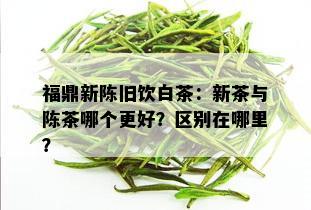 福鼎新陈旧饮白茶：新茶与陈茶哪个更好？区别在哪里？