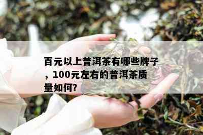 百元以上普洱茶有哪些牌子，100元左右的普洱茶质量如何？