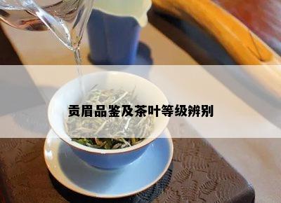 贡眉品鉴及茶叶等级辨别