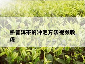 熟普洱茶的冲泡方法视频教程