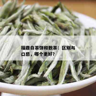 福鼎白茶饼和散茶：区别与口感，哪个更好？