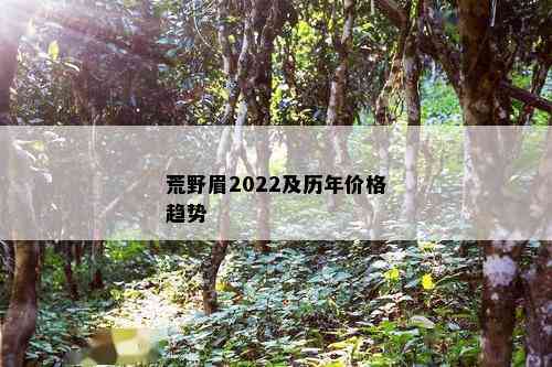 荒野眉2022及历年价格趋势