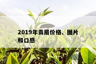 2019年贡眉价格、图片和口感