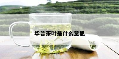 华普茶叶是什么意思