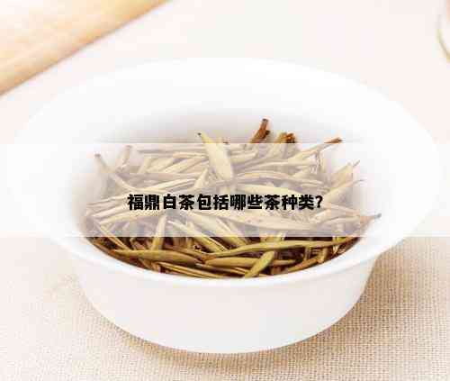 福鼎白茶包括哪些茶种类？