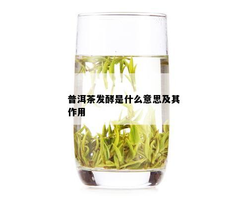 普洱茶发酵是什么意思及其作用