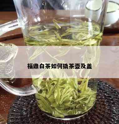 福鼎白茶如何撬茶壶及盖