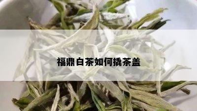 福鼎白茶如何撬茶盖