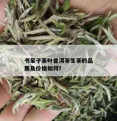 书呆子茶叶普洱茶生茶的品质及价格如何？