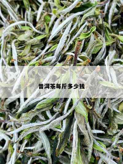 普洱茶每斤多少钱