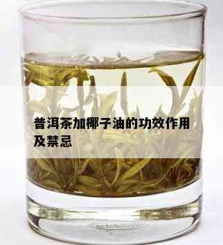 普洱茶加椰子油的功效作用及禁忌