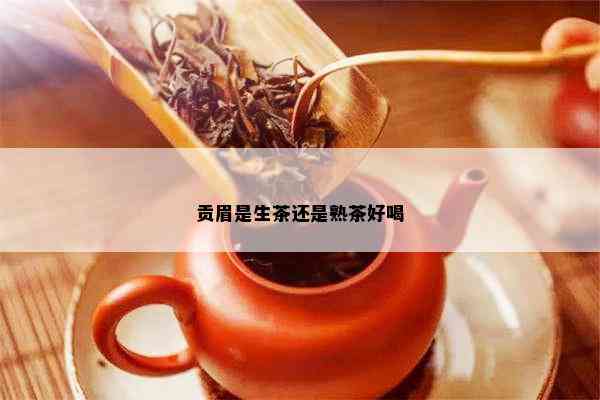 贡眉是生茶还是熟茶好喝