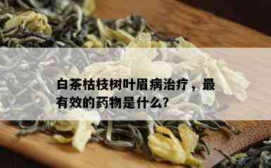 白茶枯枝树叶眉病治疗，最有效的物是什么？