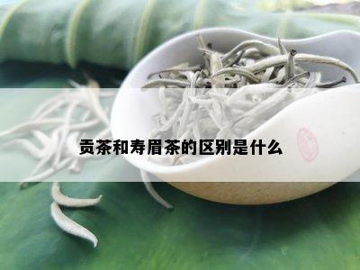 贡茶和寿眉茶的区别是什么