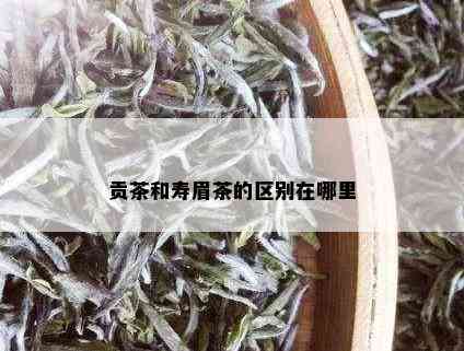 贡茶和寿眉茶的区别在哪里