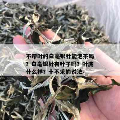 不带叶的白毫银针能泡茶吗？白毫银针有叶子吗？叶底什么样？十不采的说法。