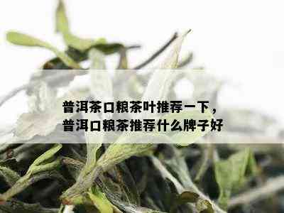 普洱茶口粮茶叶推荐一下，普洱口粮茶推荐什么牌子好