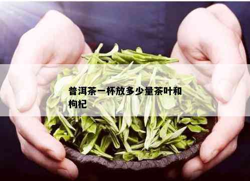 普洱茶一杯放多少量茶叶和枸杞