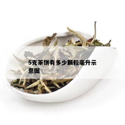 5克茶饼有多少颗粒毫升示意图