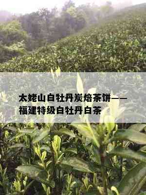 太姥山白牡丹炭焙茶饼——福建特级白牡丹白茶