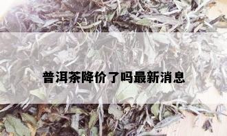 普洱茶降价了吗最新消息