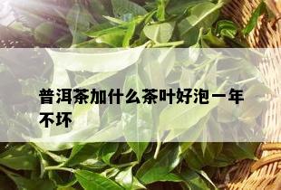 普洱茶加什么茶叶好泡一年不坏