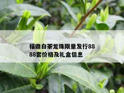 福鼎白茶龙珠 *** 发行8888套价格及礼盒信息