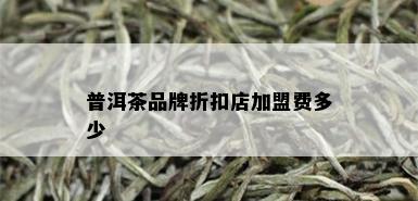 普洱茶品牌折扣店加盟费多少