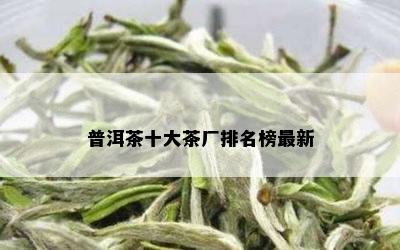 普洱茶十大茶厂排名榜最新