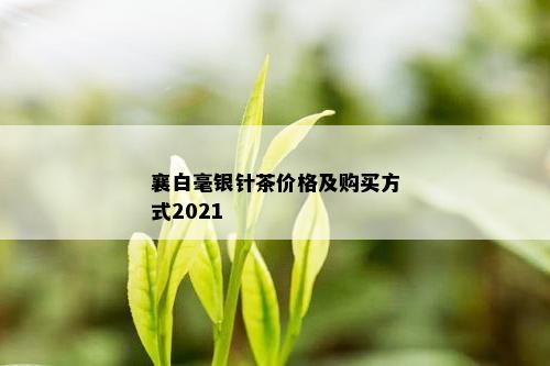 襄白毫银针茶价格及购买方式2021