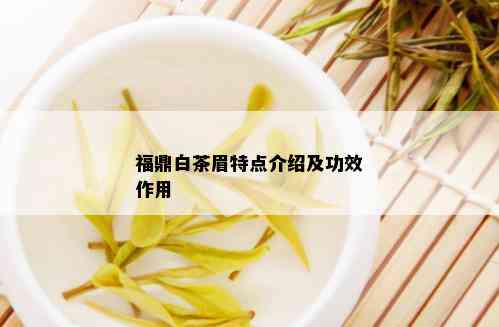 福鼎白茶眉特点介绍及功效作用