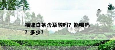 福鼎白茶含草酸吗？能喝吗？多少？