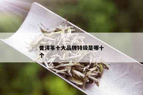 普洱茶十大品牌特级是哪十个