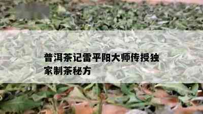 普洱茶记雷平阳大师传授独家制茶秘方