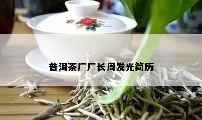 普洱茶厂厂长周发光简历