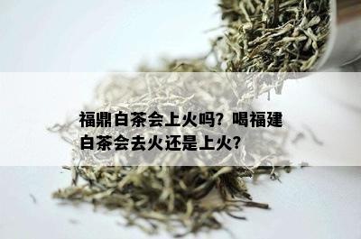 福鼎白茶会上火吗？喝福建白茶会去火还是上火？