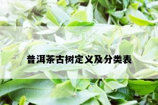 普洱茶古树定义及分类表