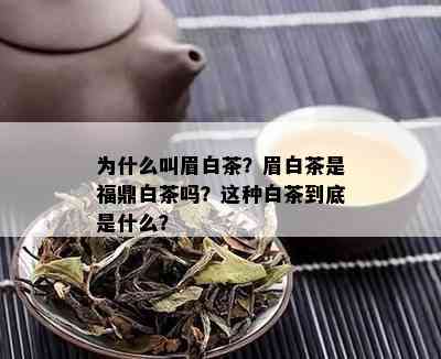 为什么叫眉白茶？眉白茶是福鼎白茶吗？这种白茶到底是什么？