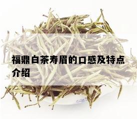 福鼎白茶寿眉的口感及特点介绍