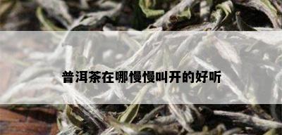 普洱茶在哪慢慢叫开的好听